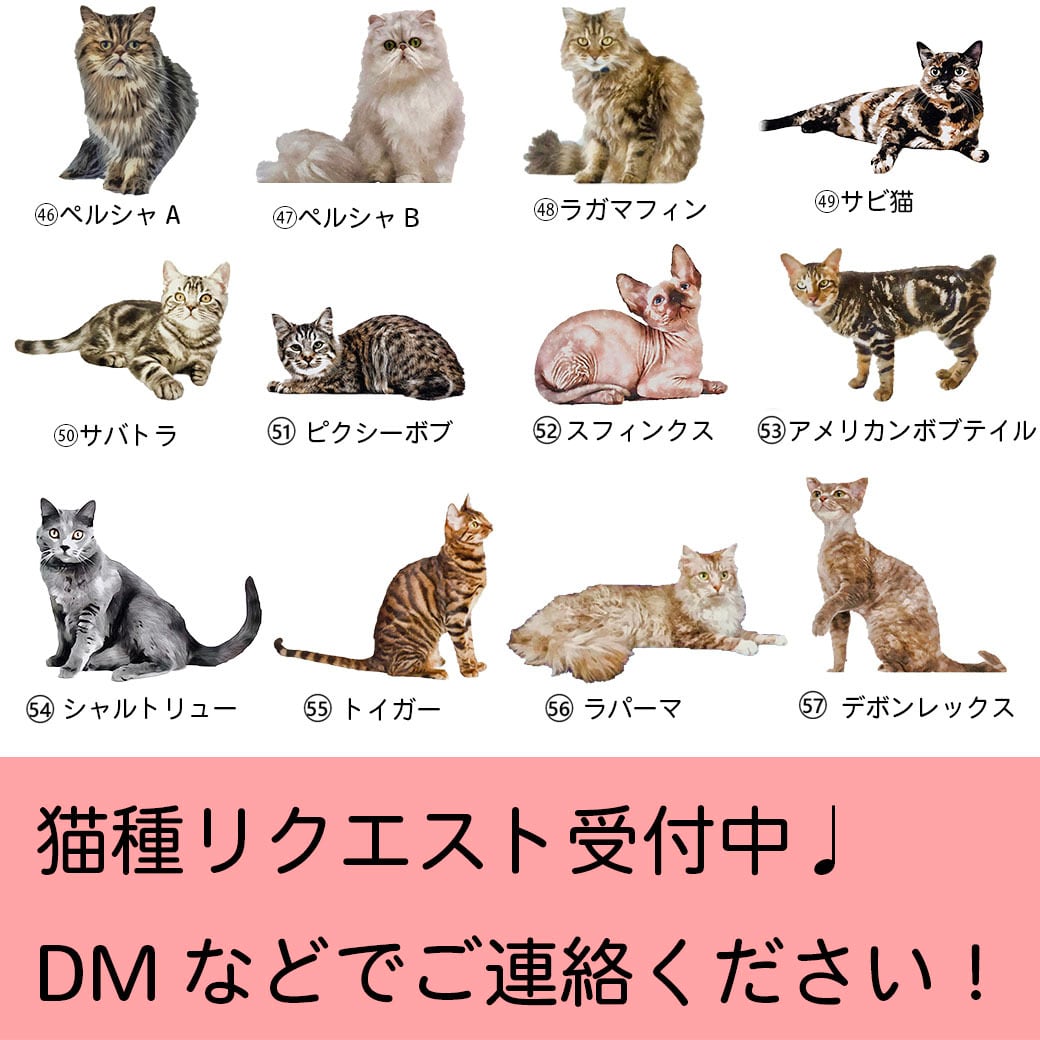 35猫種 から 選べる ！ 猫 の おしゃれ オリジナルイラスト タオル