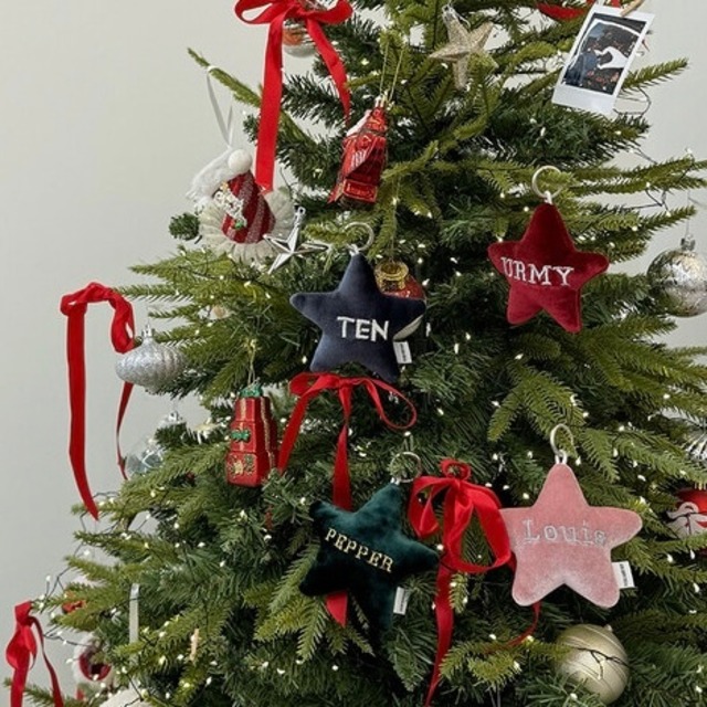 【予約】Little Star Name Tag_Christmas (classic ver.) 〘 ネーム刺繍 〙