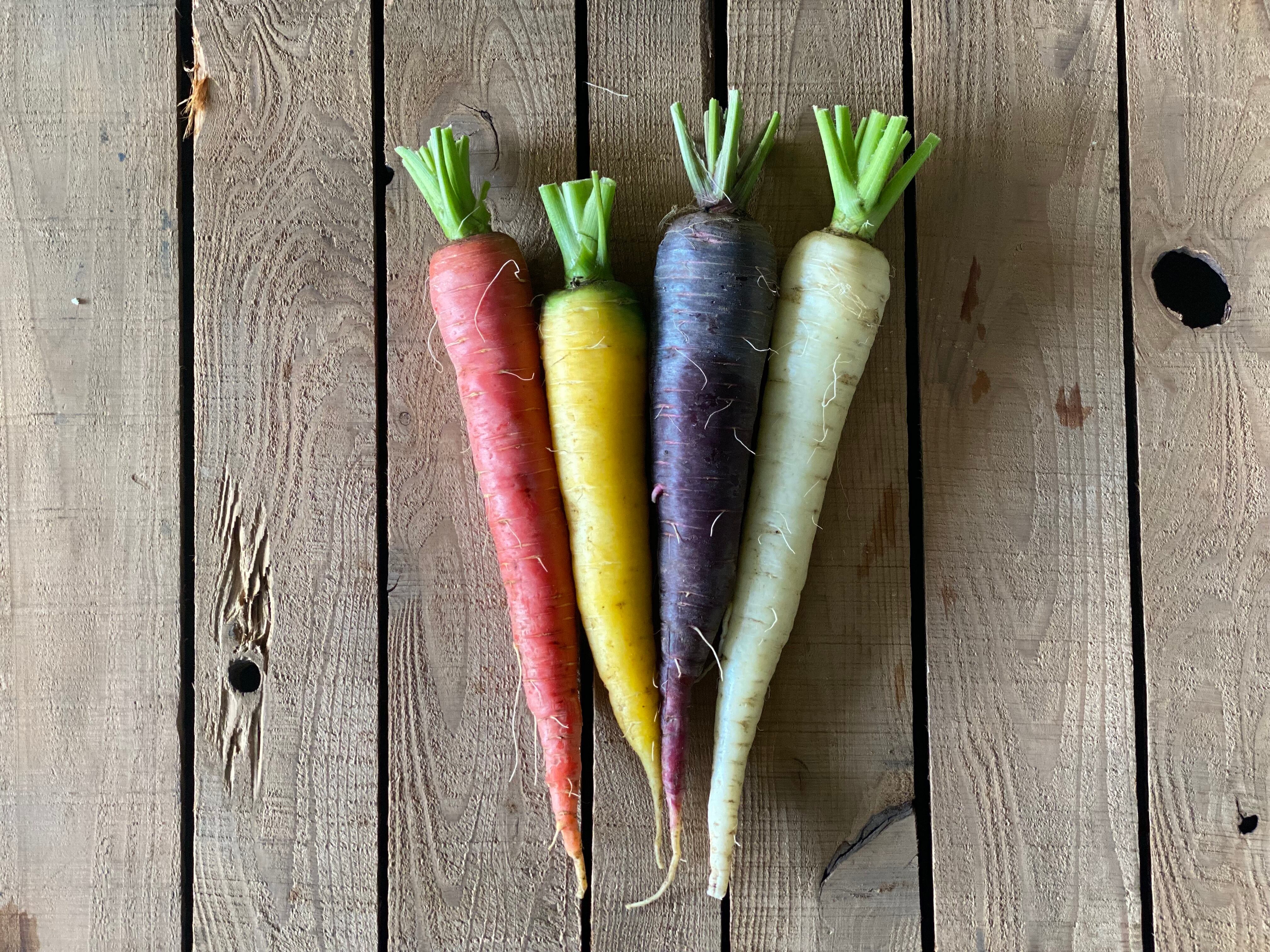 2/25(水)より隔週水曜お届け!野菜セット(6回コース) | オトワファーム