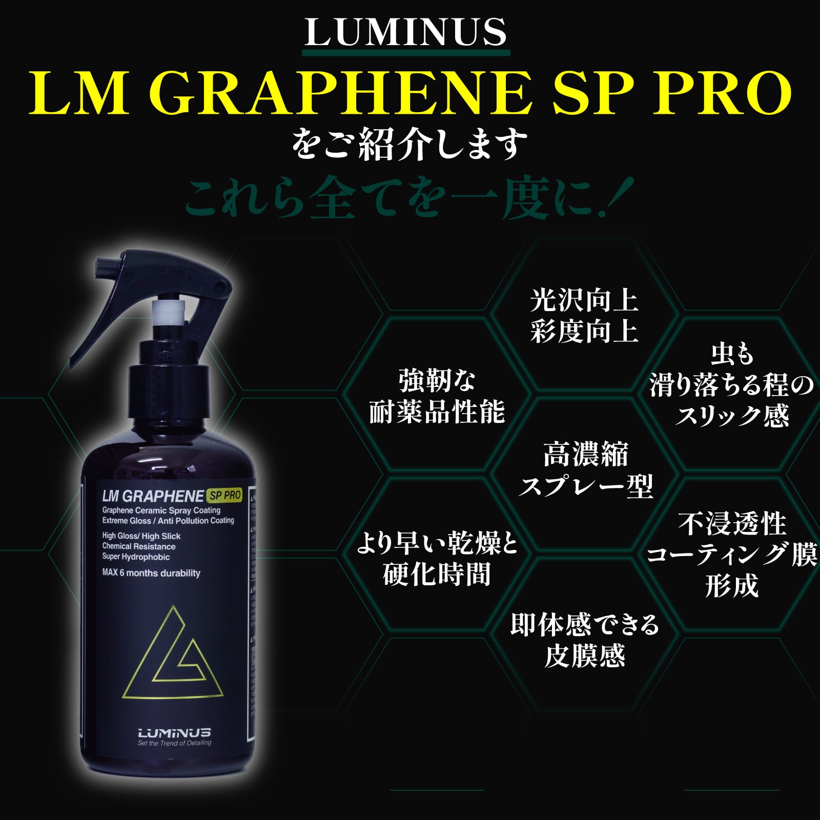 LM GRAPHENE SP PRO LMグラフェン プロ 250ml 硬化型グラフェン 