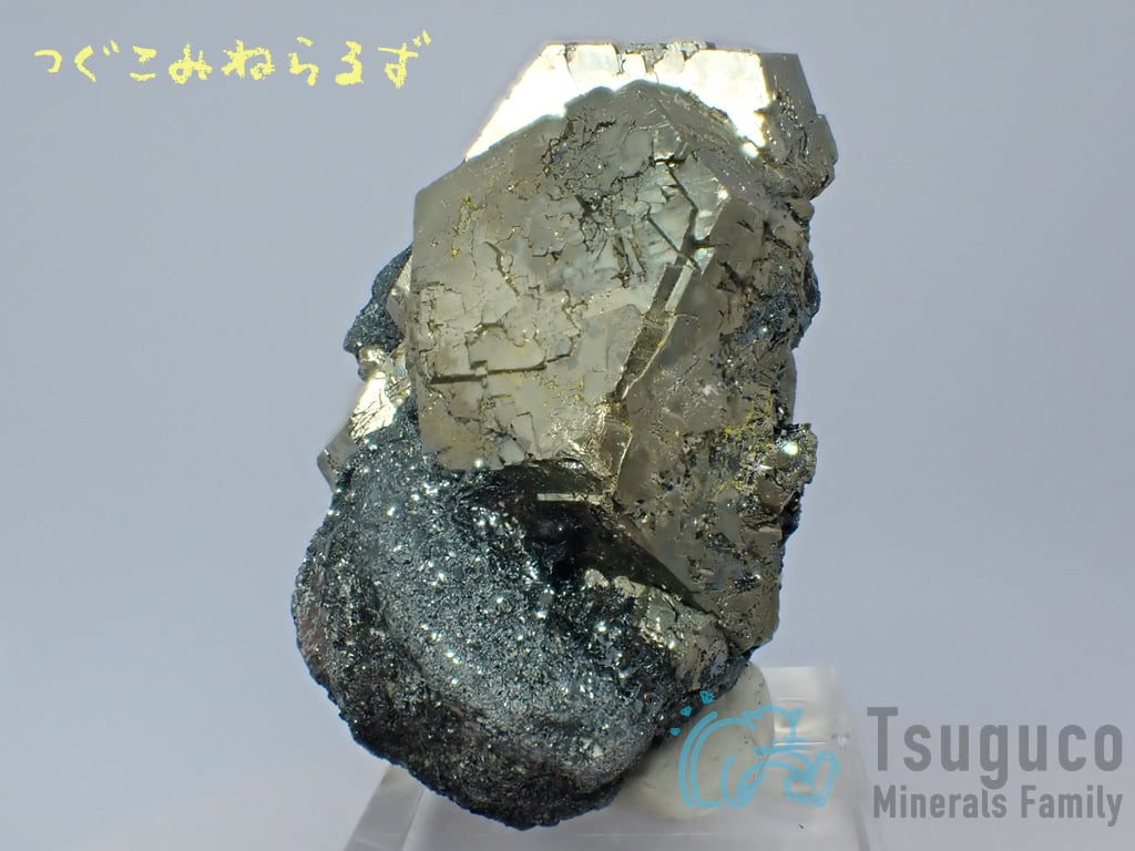 パイライト 黄鉄鉱 Pyrite イタリア TM-0042