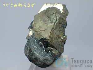 パイライト 黄鉄鉱 Pyrite イタリア TM-0042