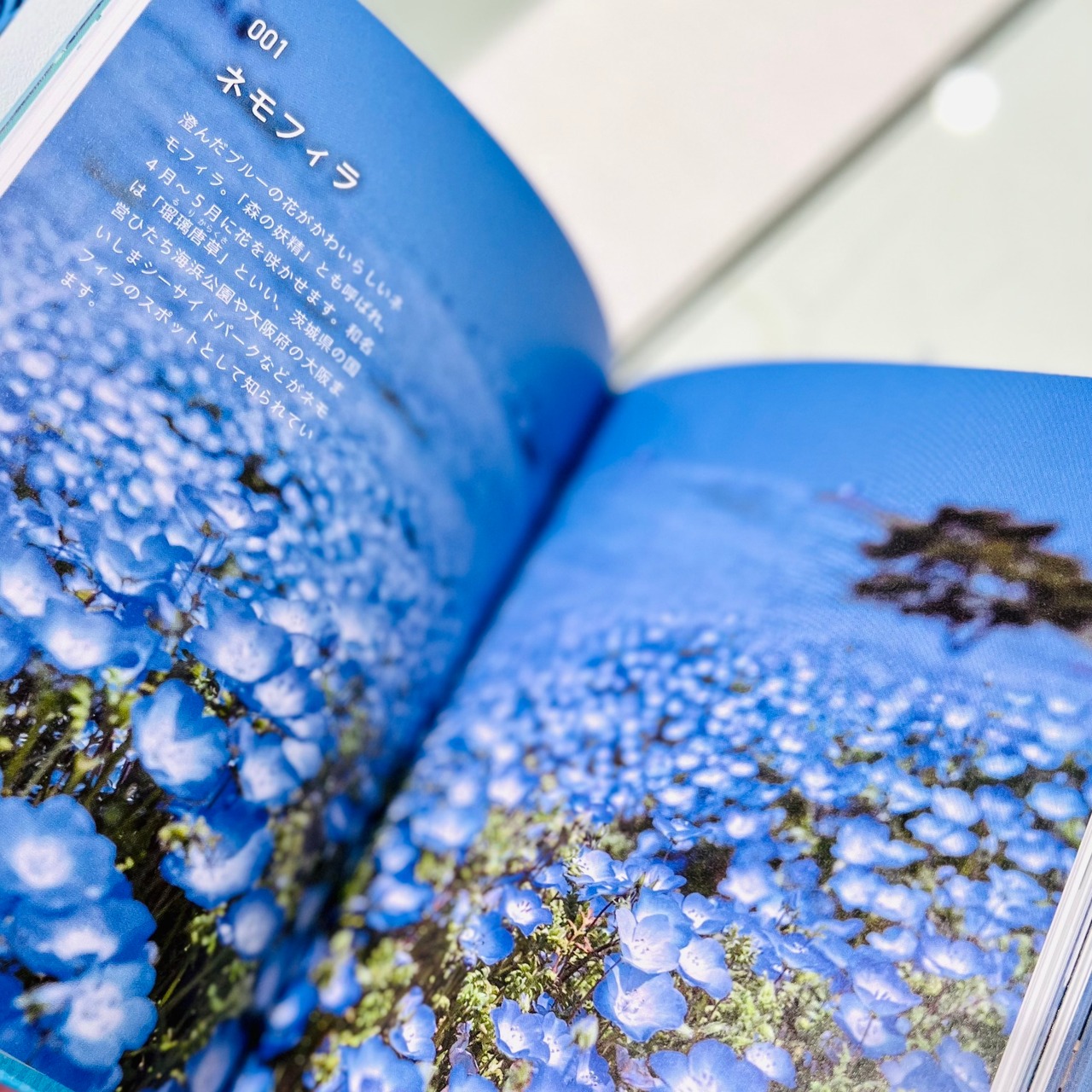 理想の色に巡り会える青の図鑑