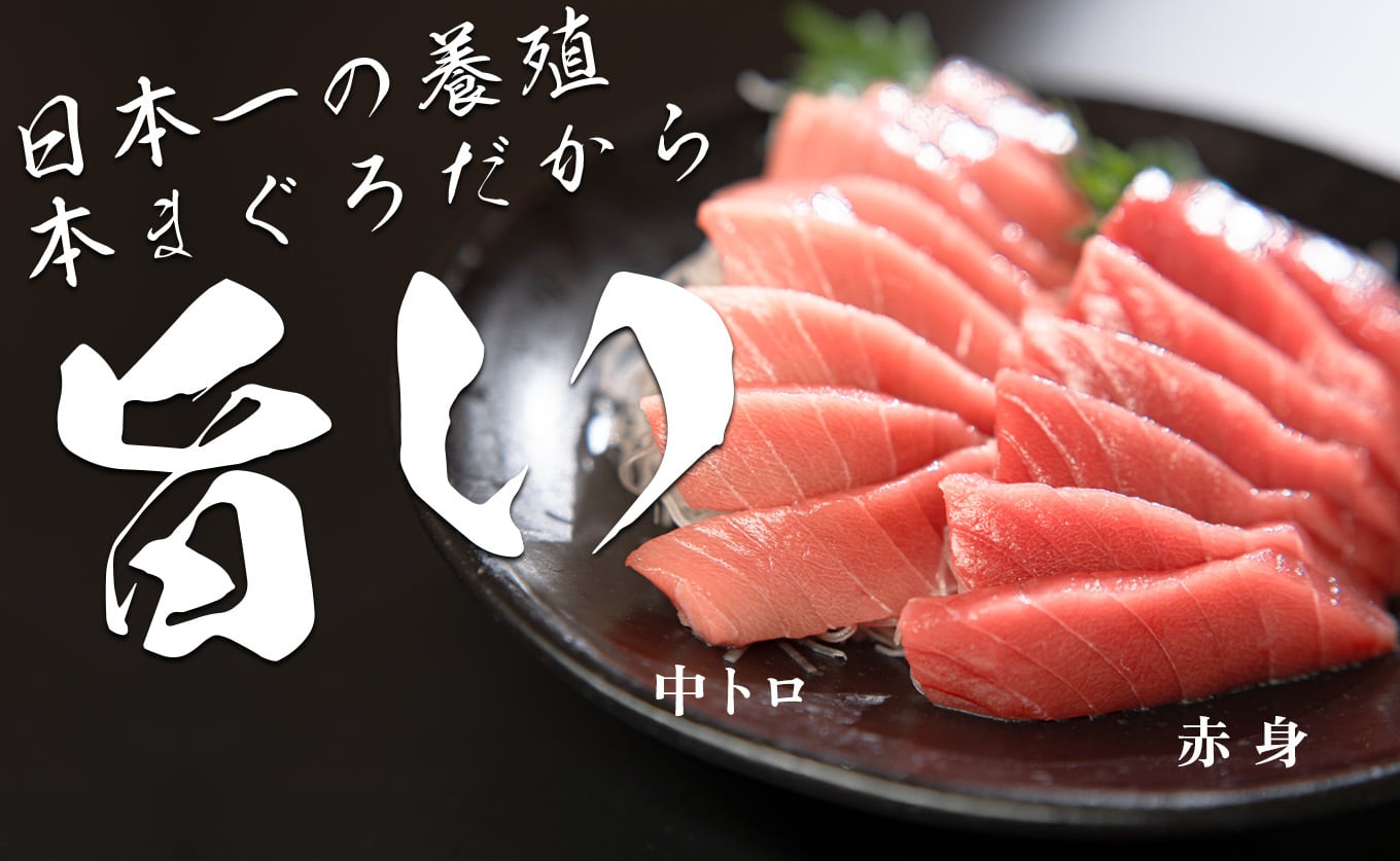 日本一の本まぐろ 最優秀賞受賞 赤身・中トロ 2種3柵 計450g 刺身用