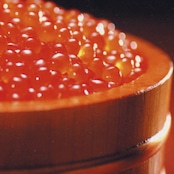 いくら醤油漬 《北海道産 新物》 500g 化粧箱入