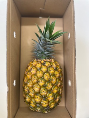 沖縄県産　パイナップル　ゴールドバレル１玉入り