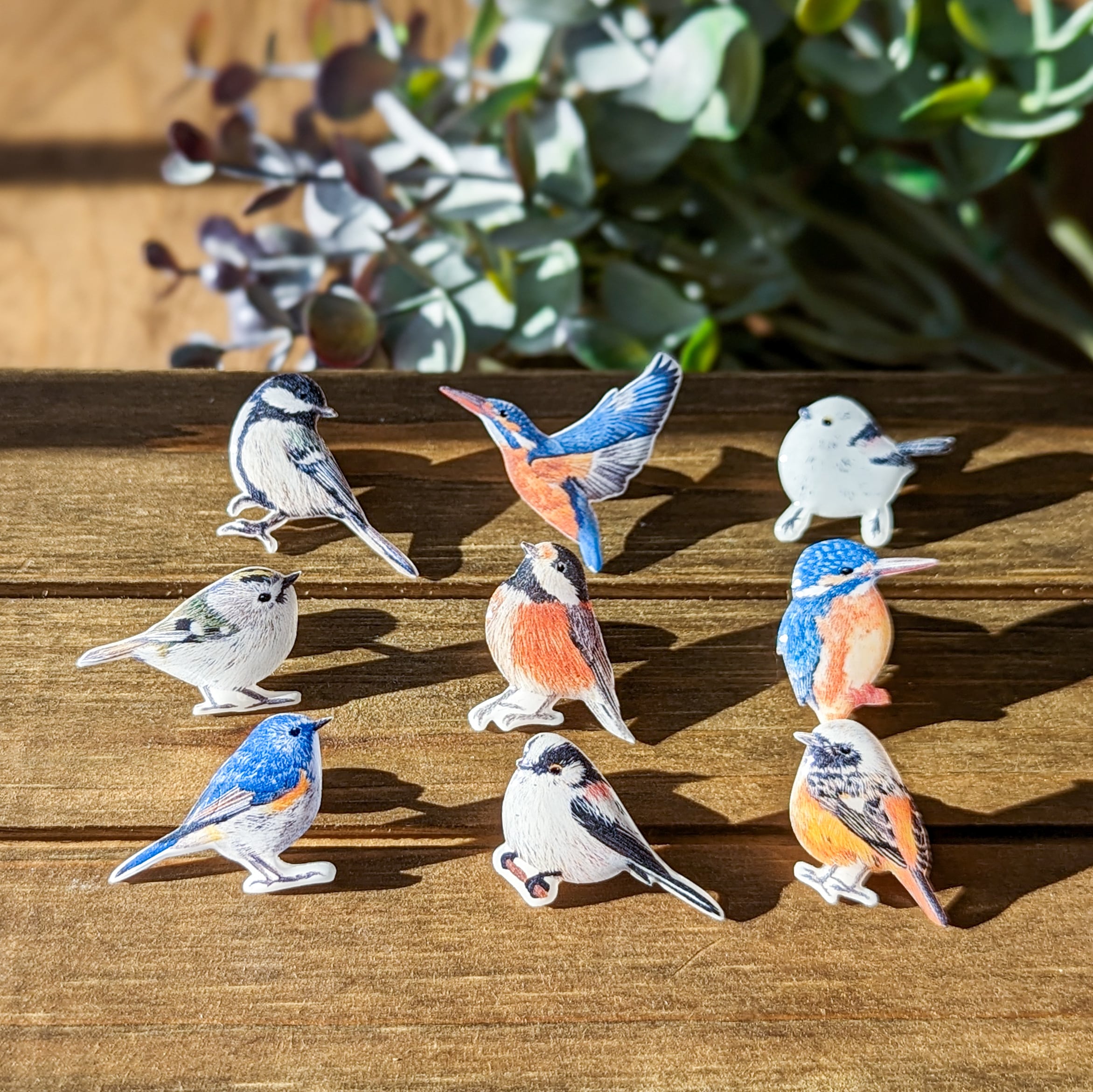 選べる!野鳥の樹脂ピンブローチ