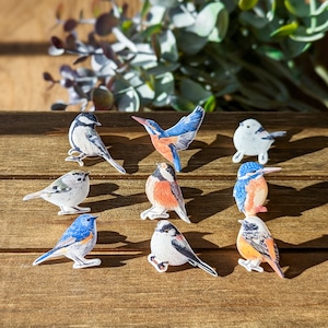 選べる!野鳥の樹脂ピンブローチ