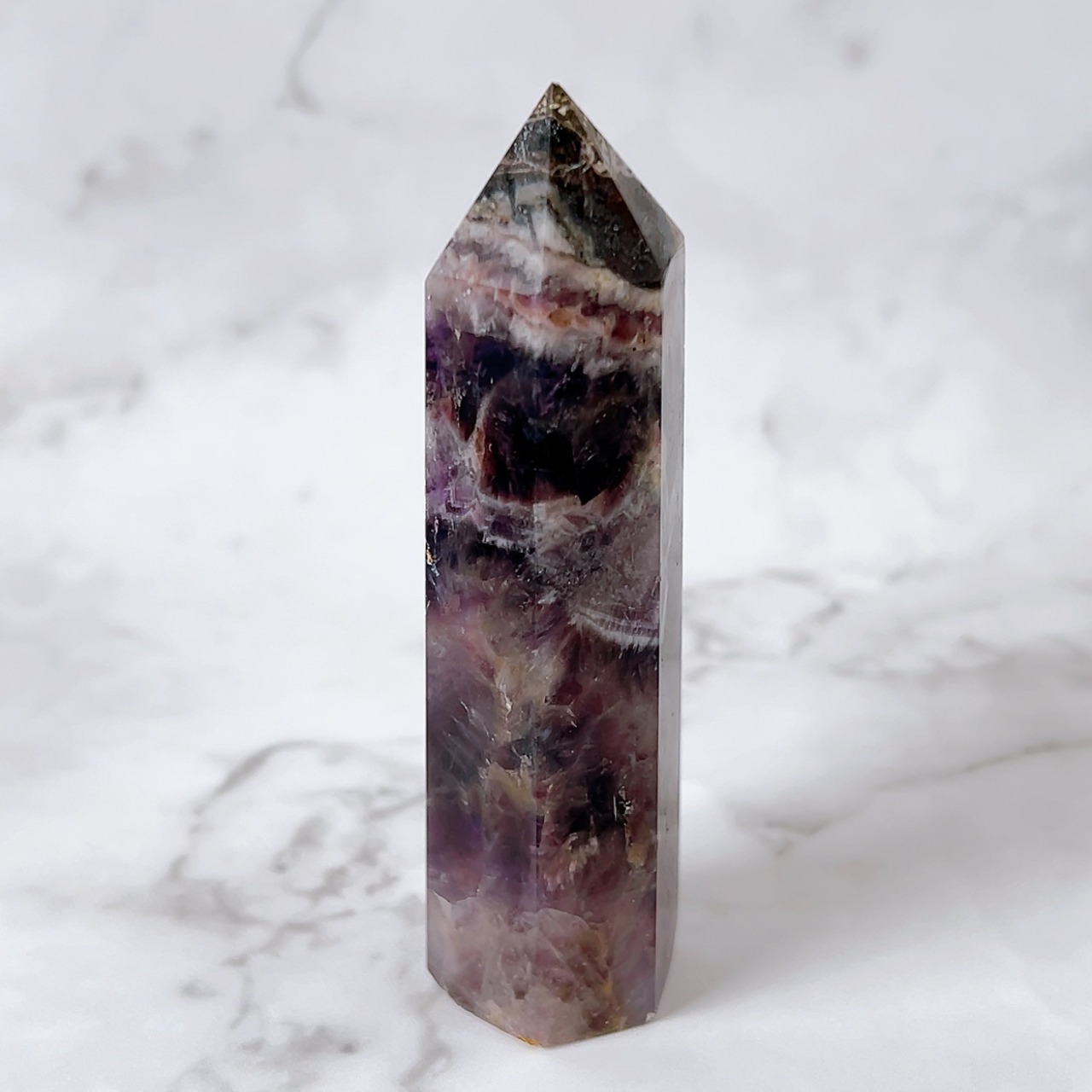 ドリームアメジストタワーA(シェブロンアメジスト・ケープアメジスト)