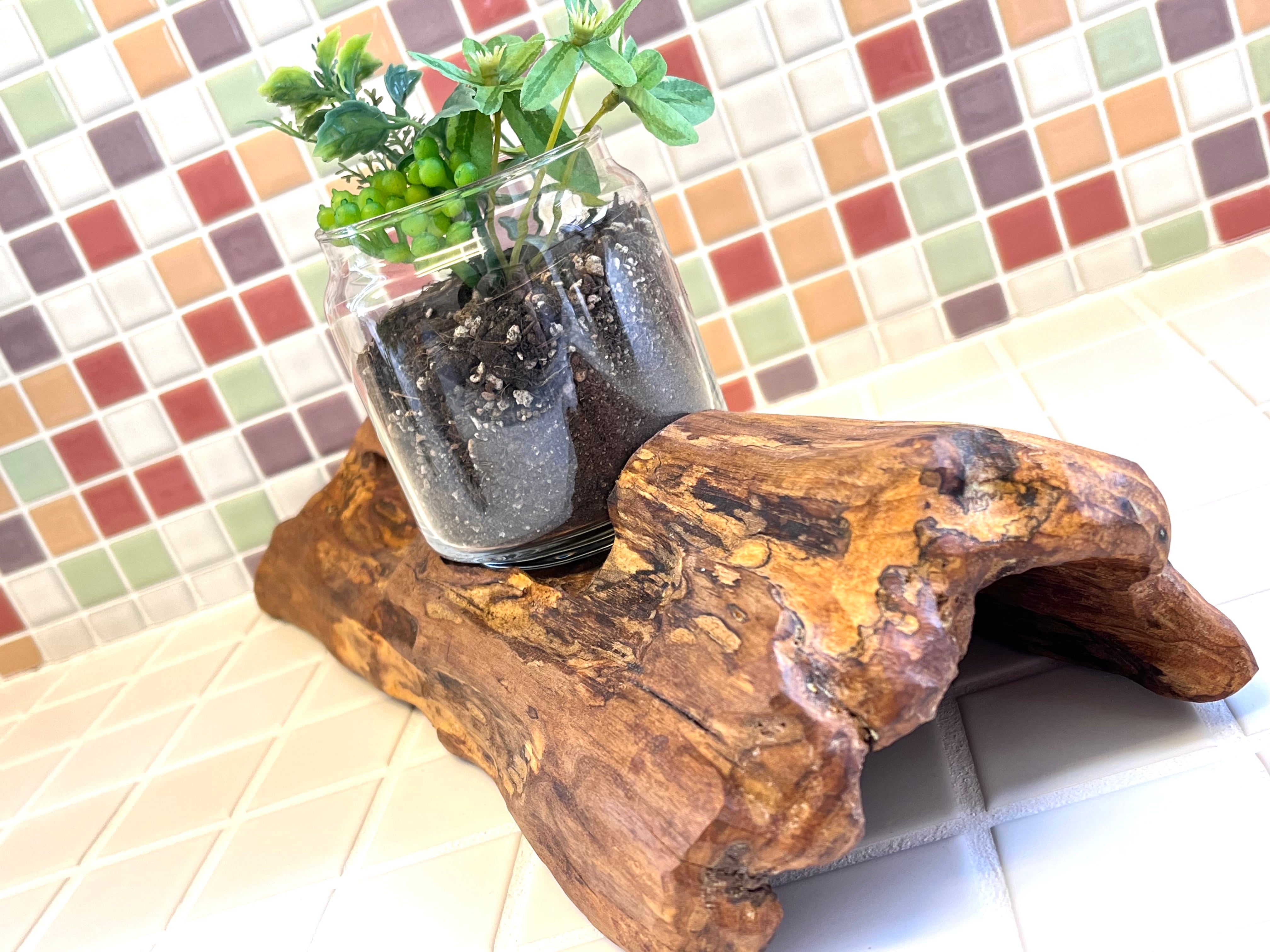 流木インテリア/観葉植物シリーズ | DB3 ONLINE SHOP 流木インテリア/観葉植物シリーズ | DB3 ONLINE SHOP
