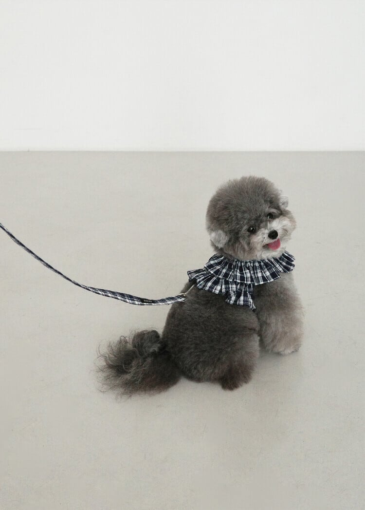 〈予約アイテム〉OHDIBS / capeness no.16 Navy check