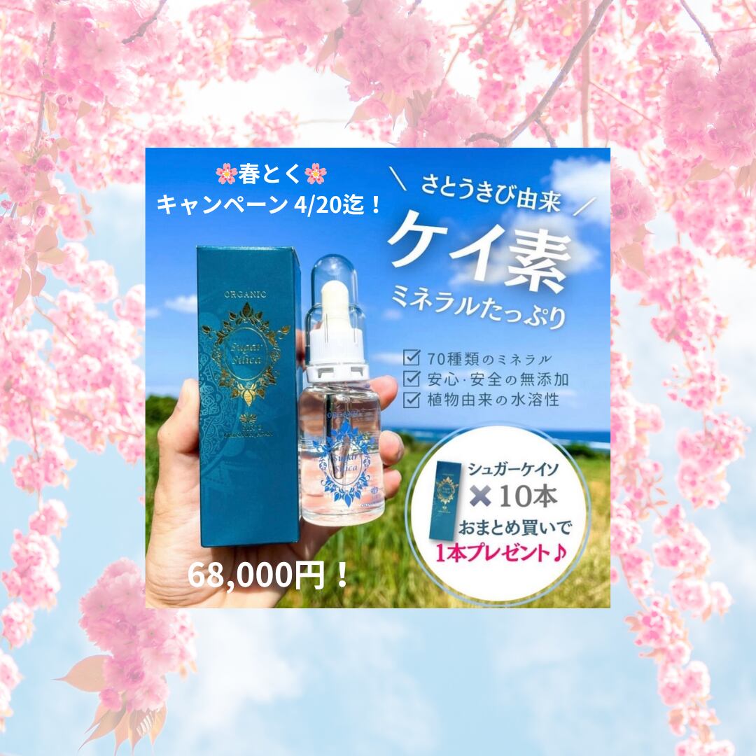 4/20迄【春とくキャンペーン】シュガーケイソ10本+1本無料プレゼント