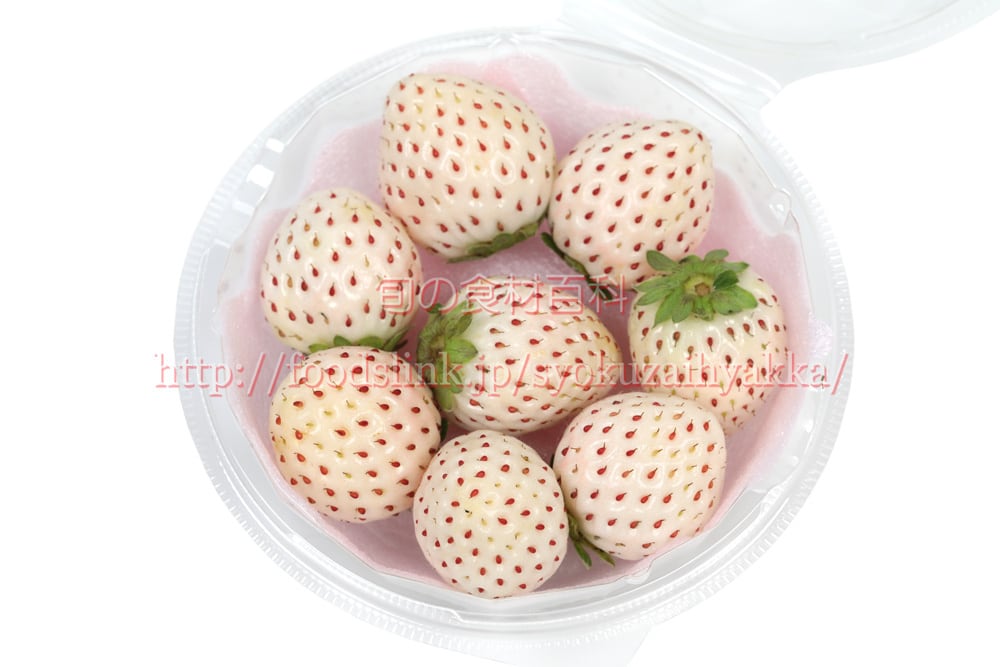 パールホワイト（いちご）PearlWhite002(6720x4480) | 旬の食材百科