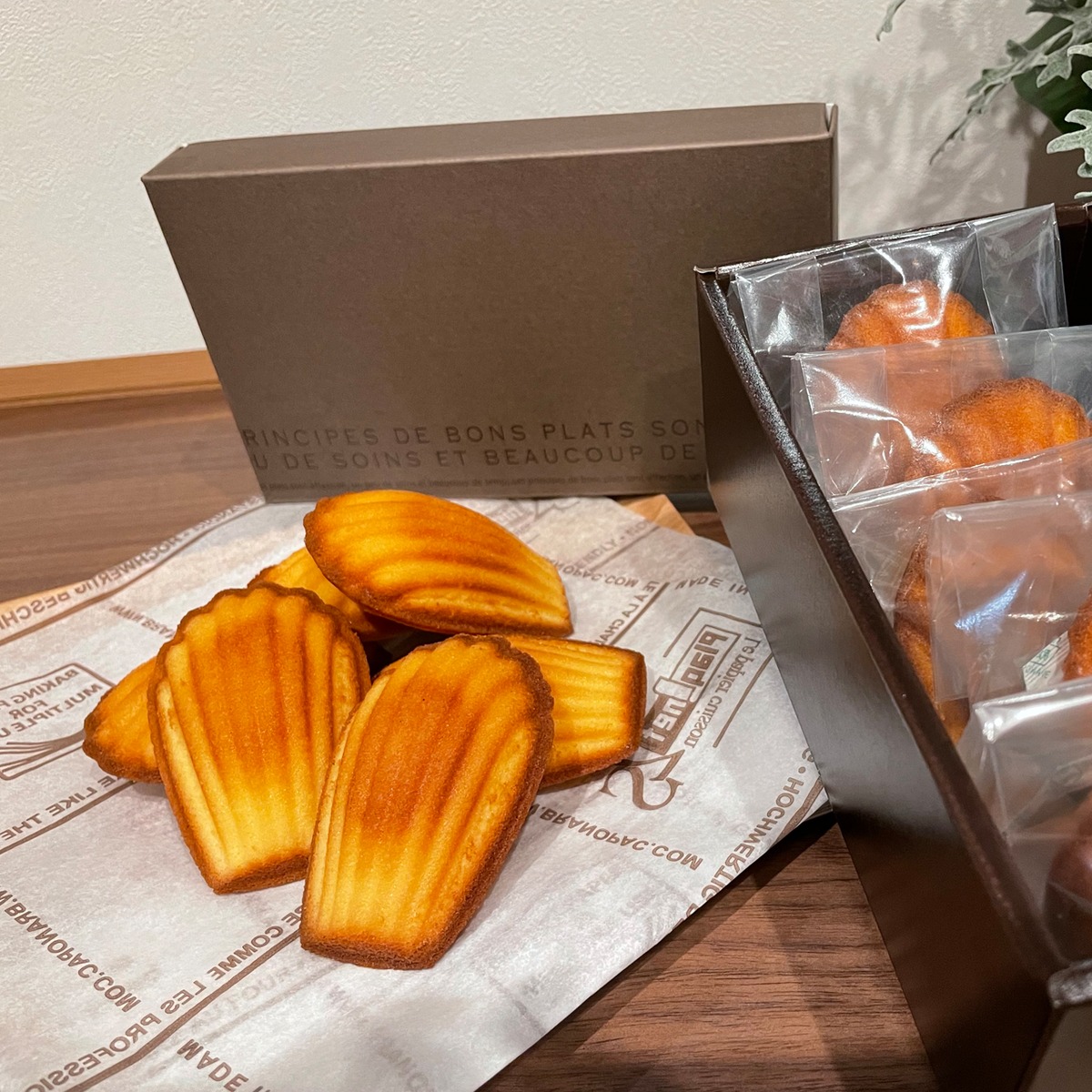 9a98f5a663d80a7a1cdf7ce486534f