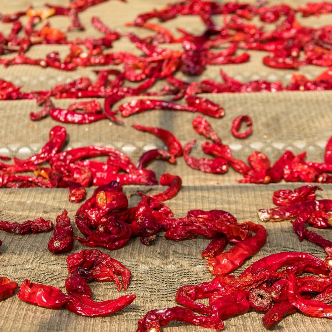 100%韓国産 五味子パウダー 200g imgrc0104992123.jpg