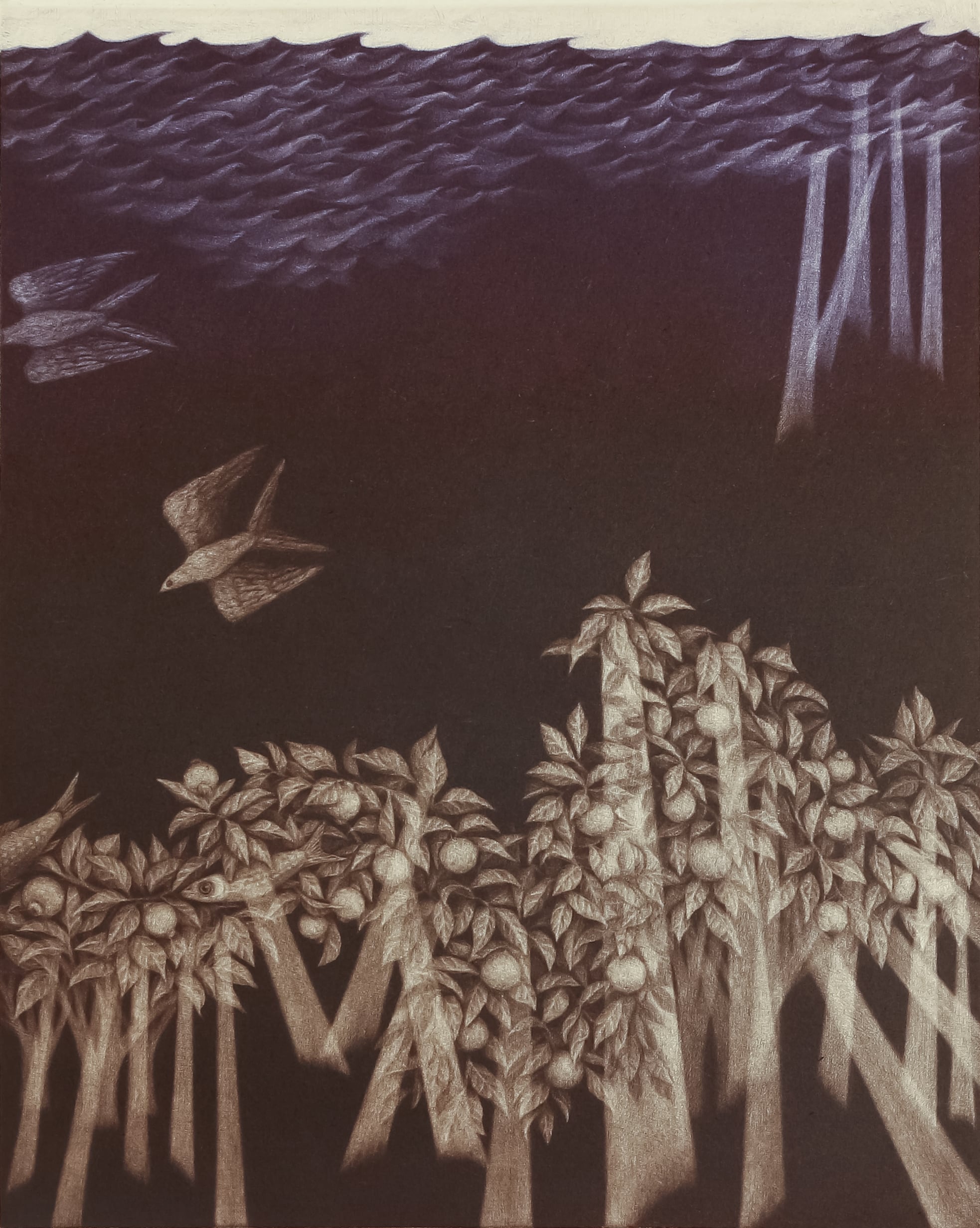 林 明日美 / 「時間を知らない場所」/ 銅版画・メゾチント / シート(額縁なし)