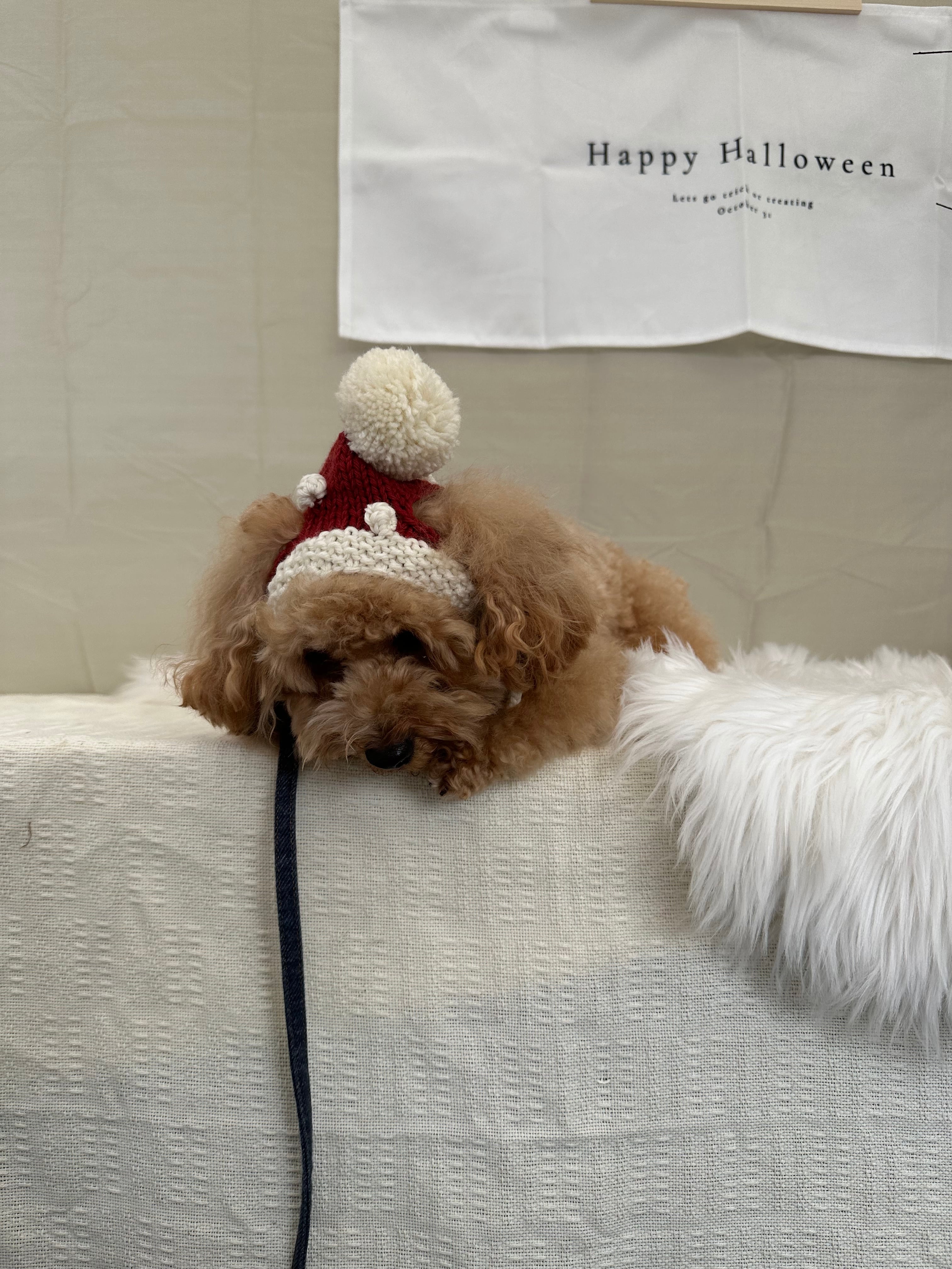 【即納】サンタボンネットLサイズ