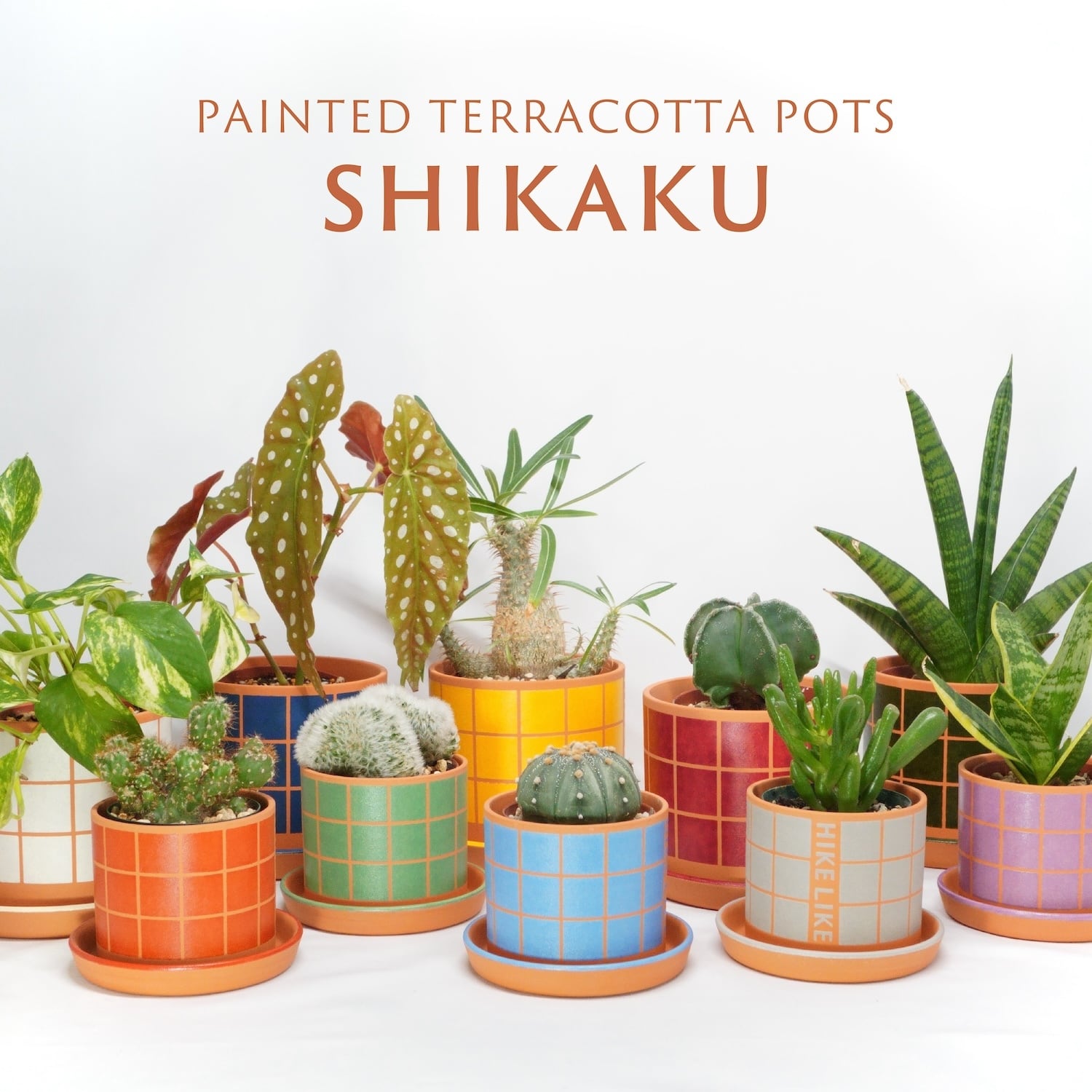 SHIKAKU(PAINTED TERRACOTTA POTS)