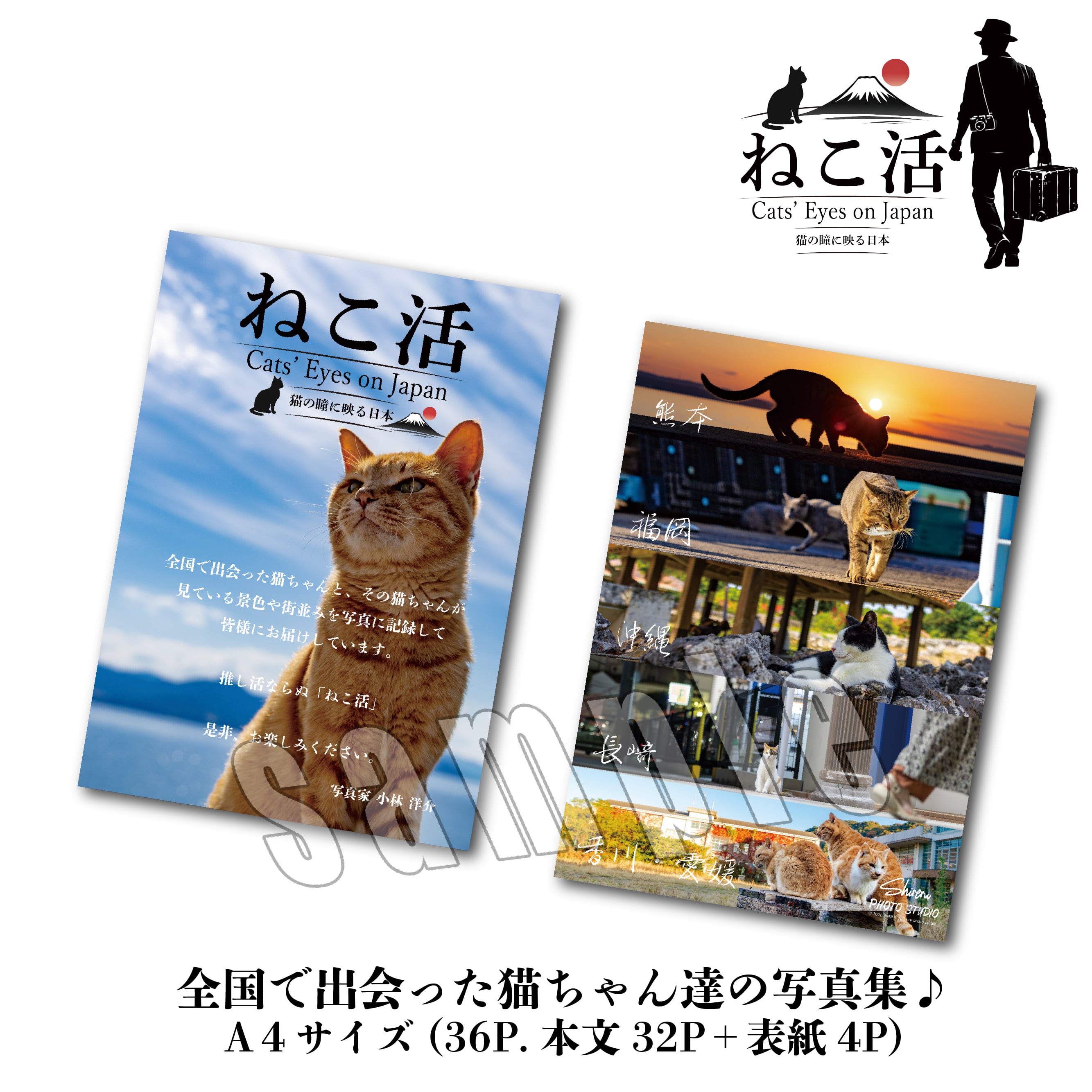 ねこ活 【全国の猫ちゃん】A4写真集 | Station Master Cat