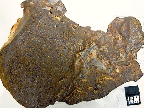 隕石 】鉄隕石 ゲベルカミル Gebel Kamil 565g エジプト | 隕石と化石 