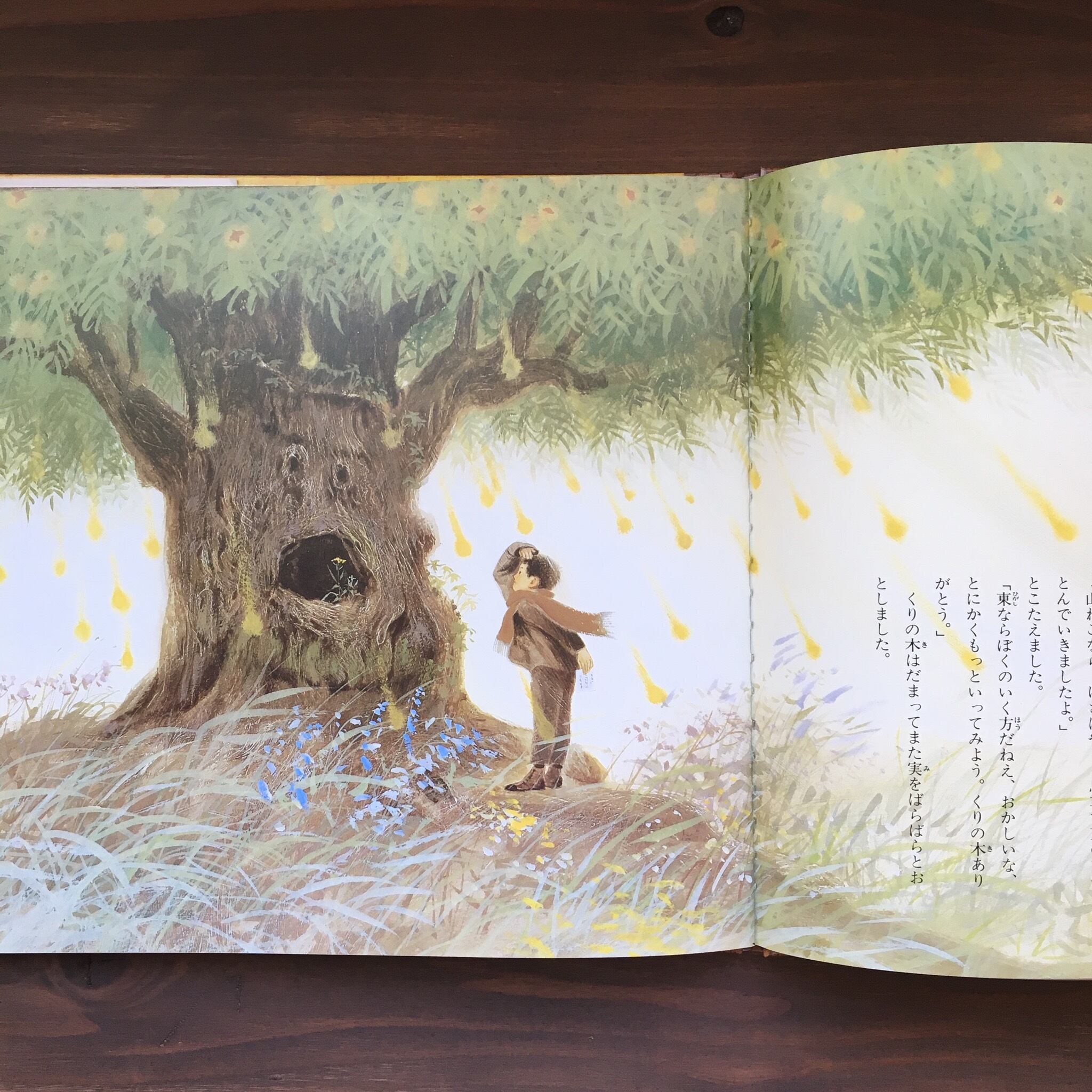 どんぐりと山ねこ(宮沢賢治どうわえほん2)