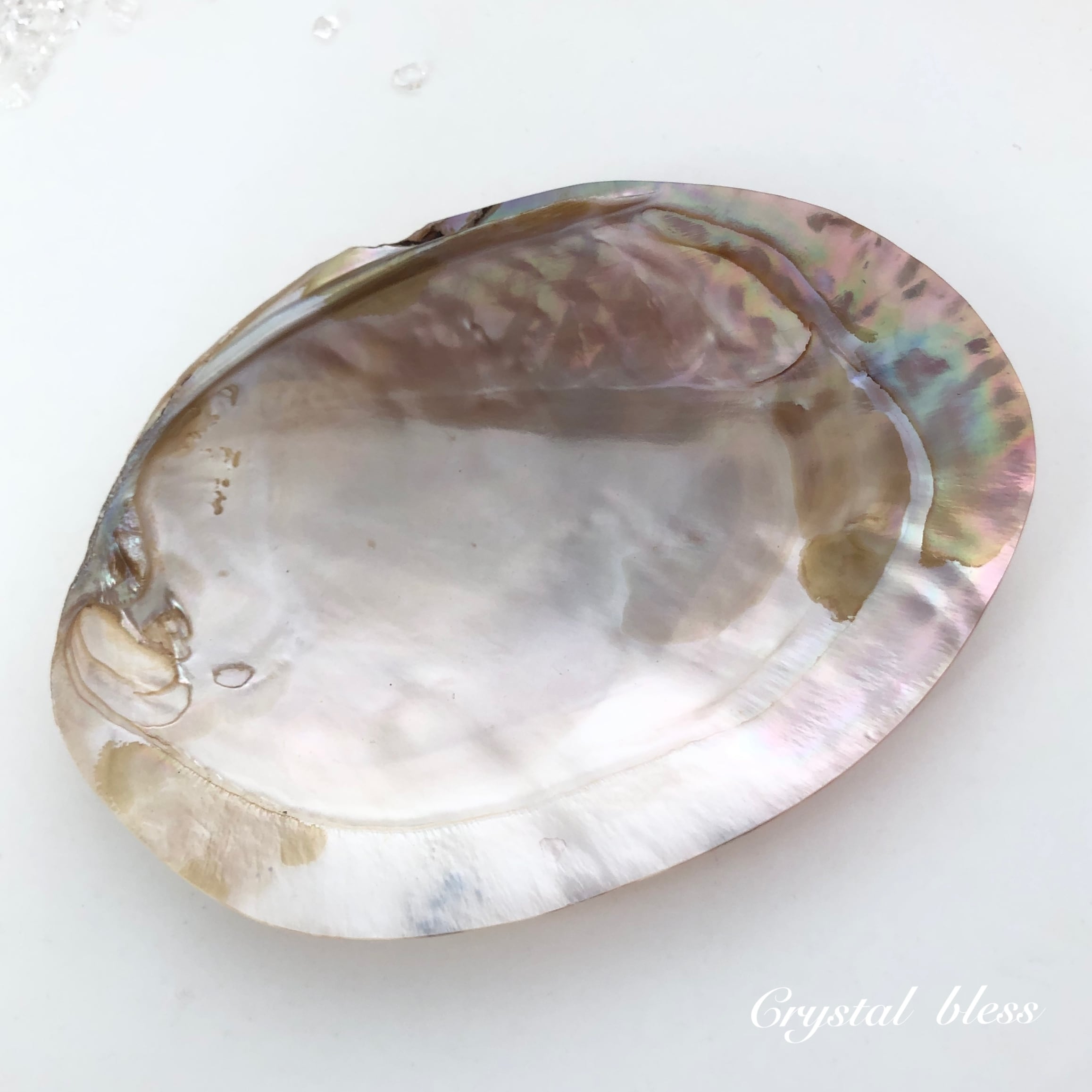 イケチョウ貝と水晶さざれ石 | Pay ID