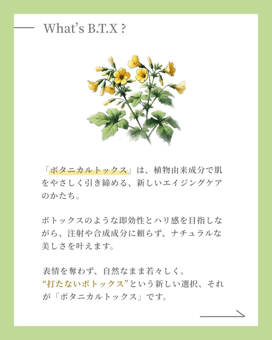DM.Cell Cosmetics B.T.X. フィトムチンクリーム 50ml［美容クリーム
