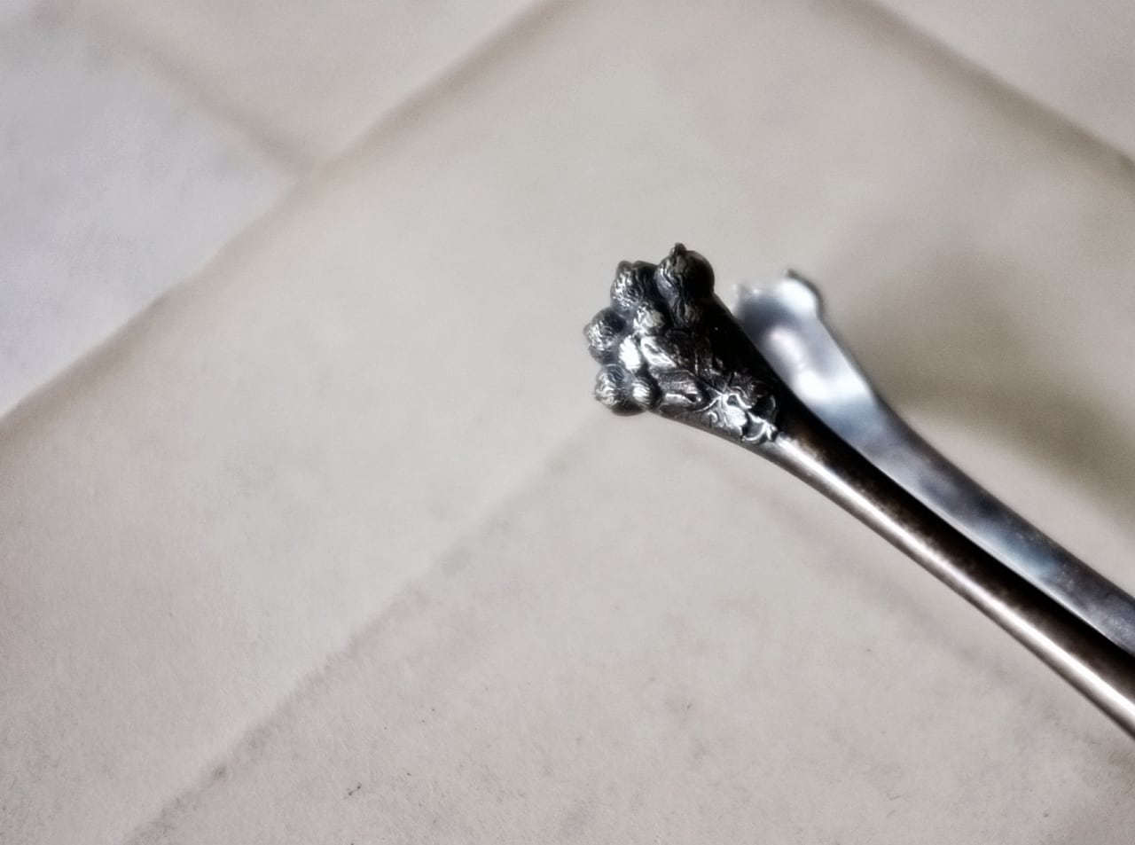 19世紀 france 獅子爪とシュガートング シルバープレート アンティーク 19世紀 france 獅子爪とシュガートング シルバープレート アンティーク