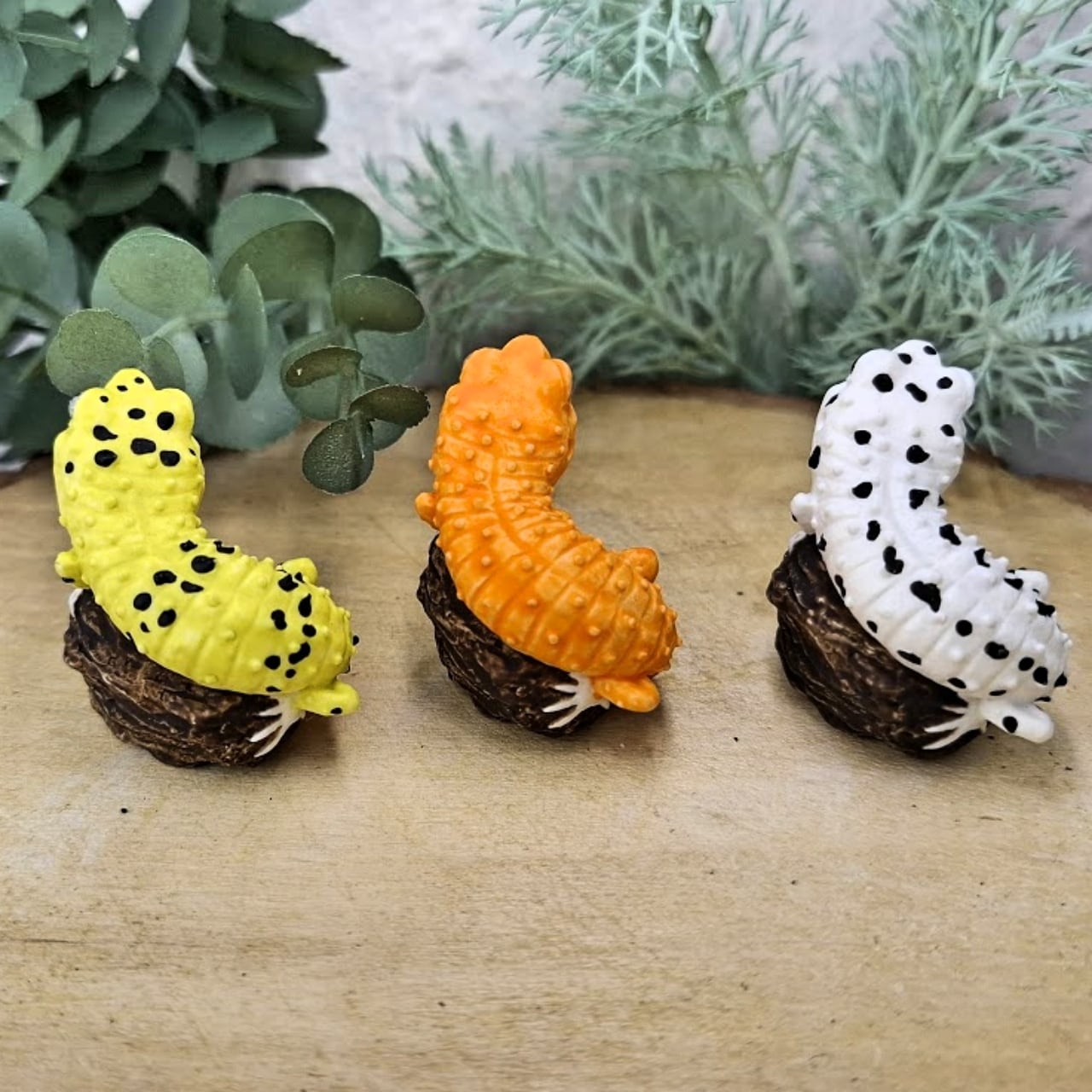 ヒョウモントカゲモドキ | 真工房 masakoubou
