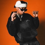 OG SMALL LOGO PIGMENT HOODIE