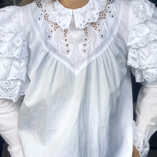 Ruffle Sleeve Blouse