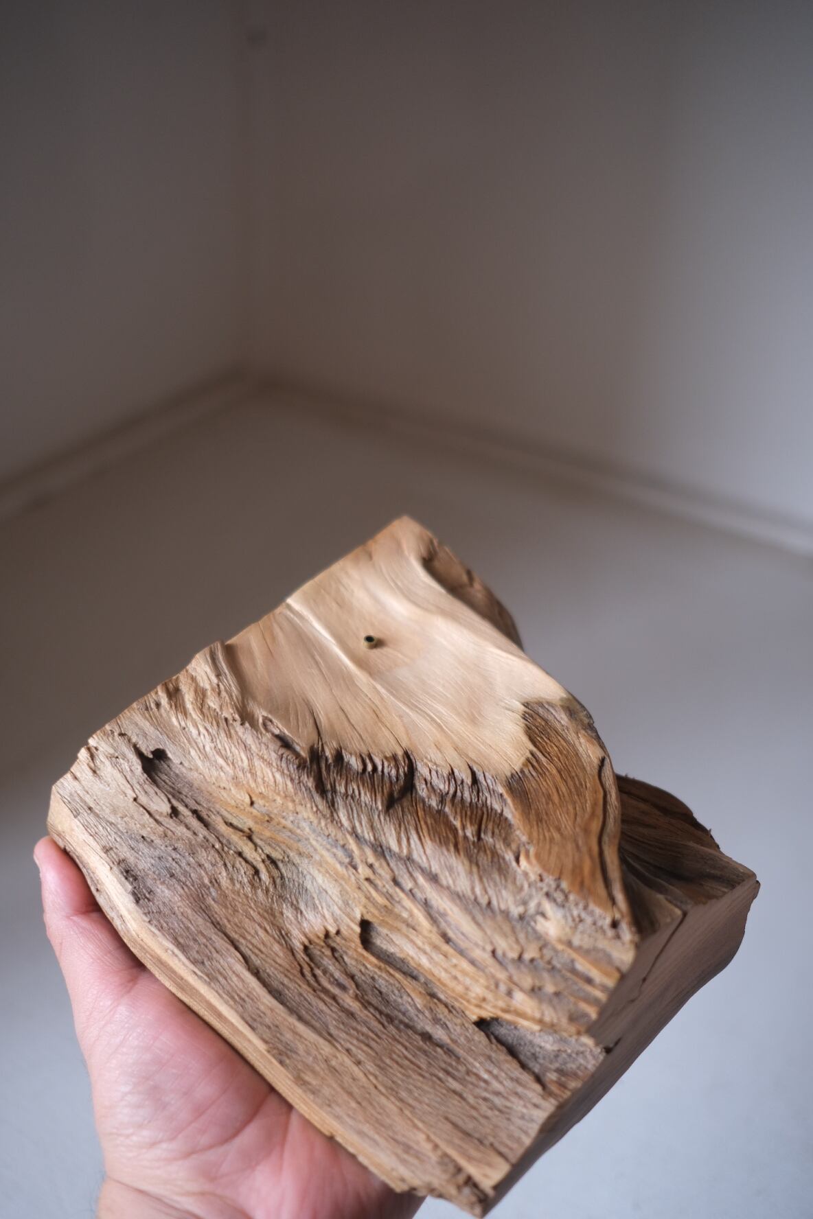 一枚板お香立て 樅木 -momi- | TORINOKI FURNITURE