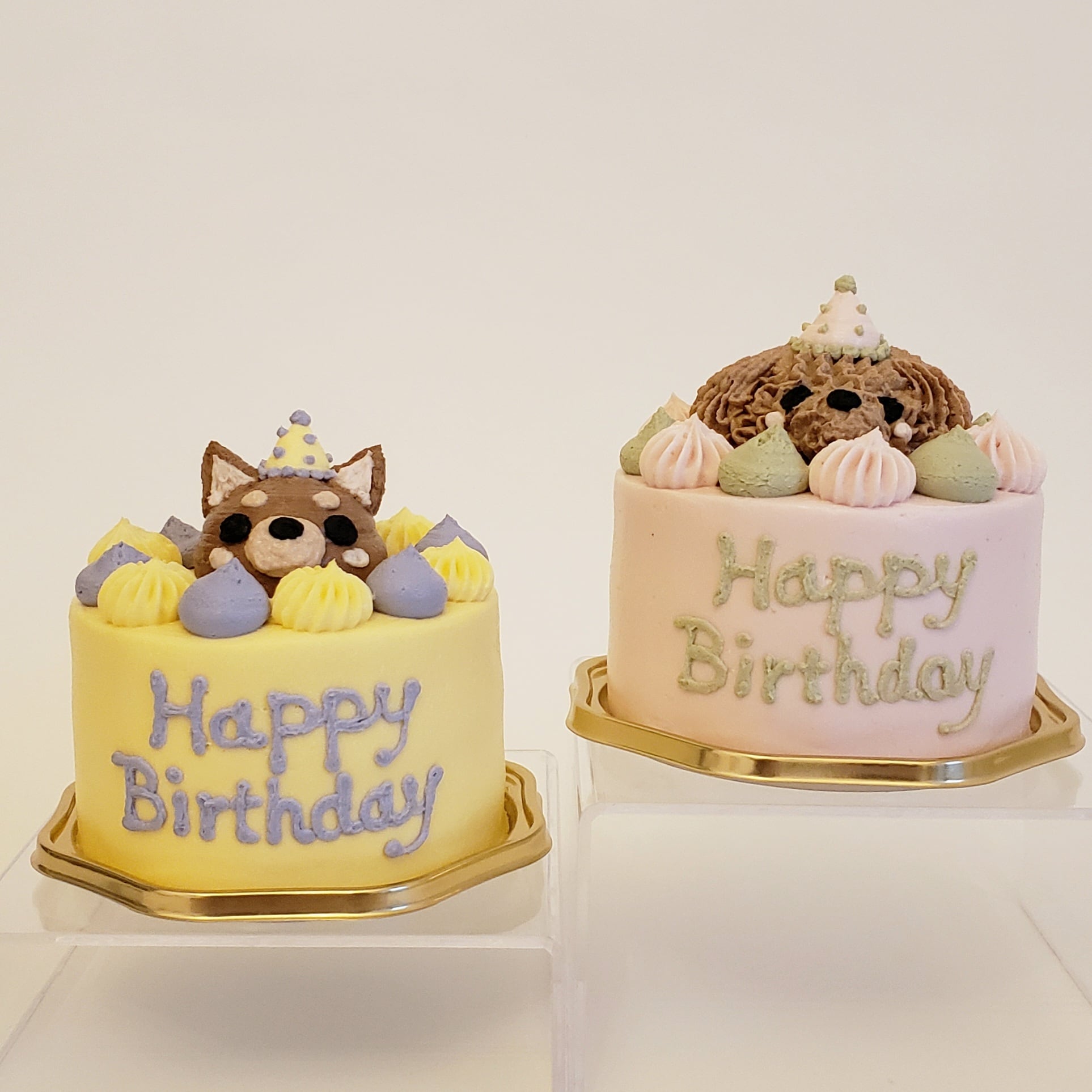 選べるパーティーワンコBDケーキ | Party Dog