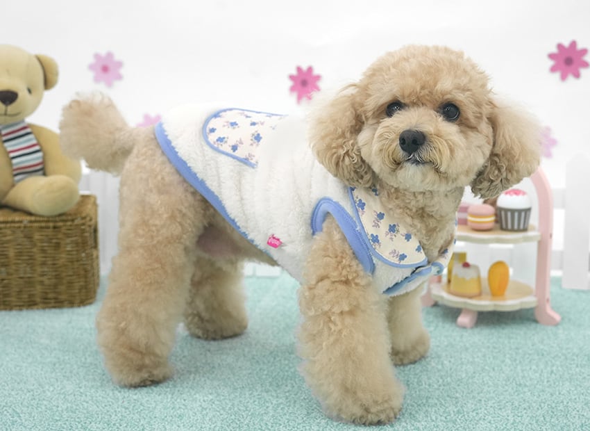 bear collar fleece vest S ~ XL 2color / 犬服 秋冬 新作 暖かい アウター ふわふわ もこもこ フリース ベスト ドッグウェア 冬 部屋着 お出かけ 小型犬 中型犬 outer18