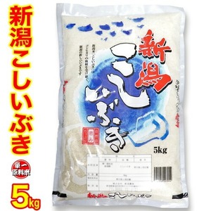 ☆五ツ星お米マイスター厳選1等米 令和6年産 新潟県産 こしいぶき 5kg 白米 精米 食味分析80点以上 新潟ブランド米 新潟 こしいぶき 新潟産 こしいぶき 新潟 米 こしいぶき 新潟 お米 新潟ブランド米 送料無料 お米 産地直送米 精米仕立て発送 低温倉庫管理米