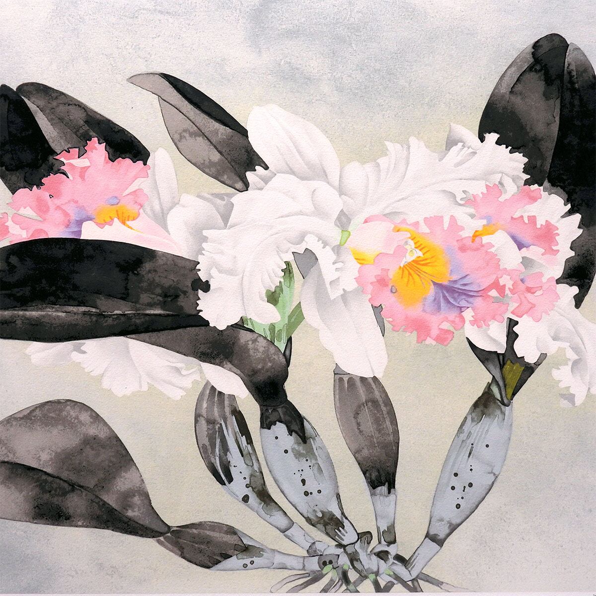 絵画 中島千波 かとれあ リトグラフ 版画作品 静物画 花 西洋蘭 作家