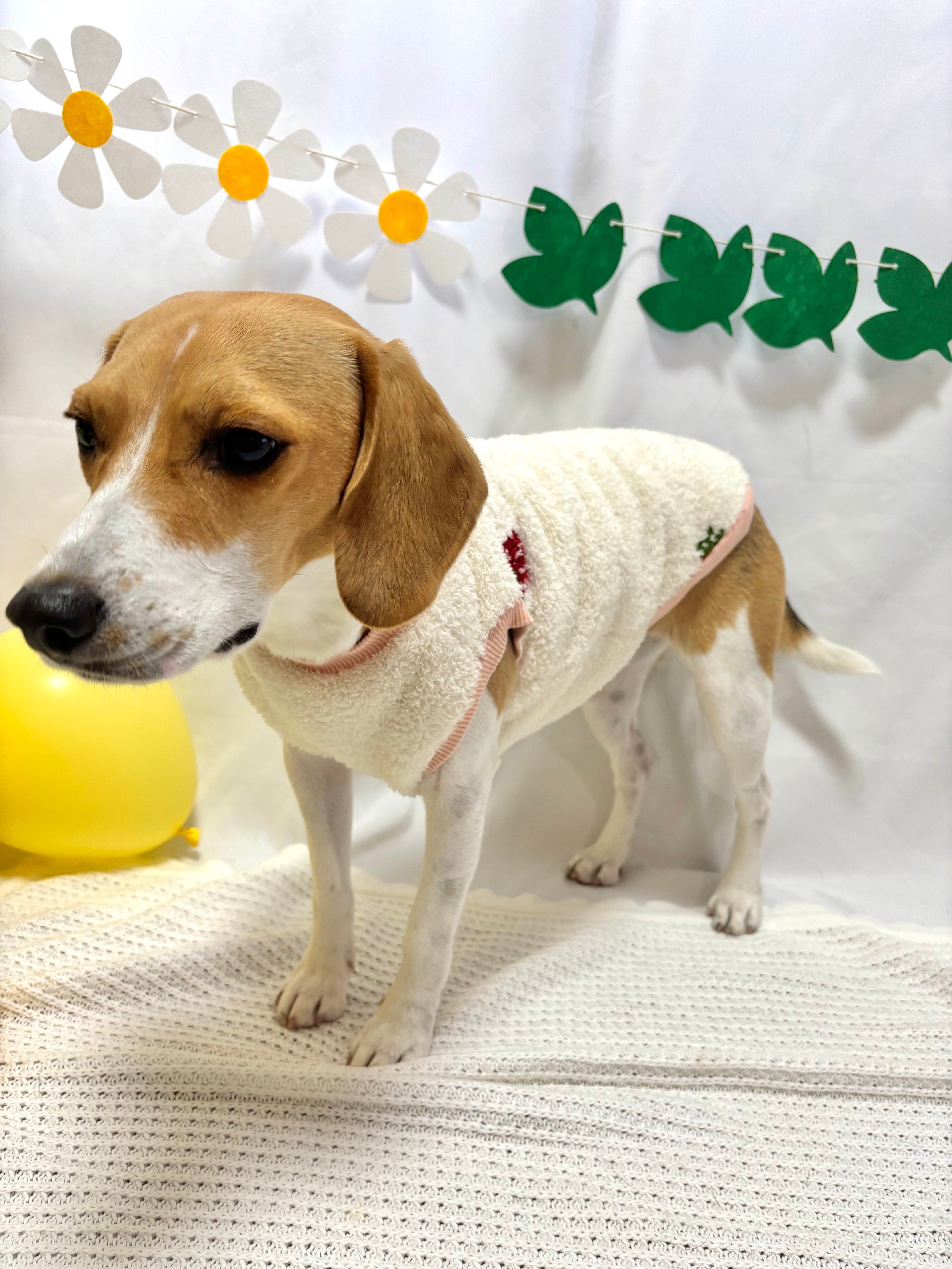 ストロベリーボアトップス