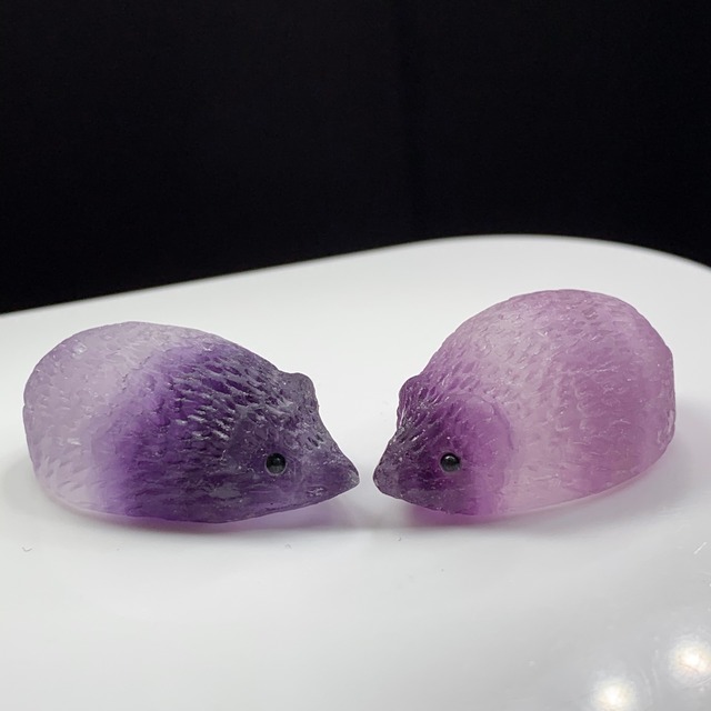 80双子ちゃんフローライトハリネズミさん