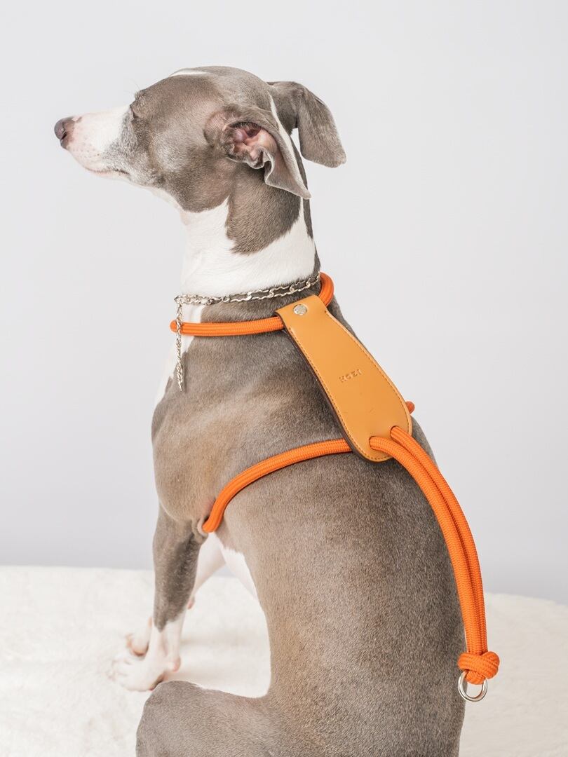 Sサイズ」エッセンシャルハーネス【HOZI】 | HOZI(ホジ)