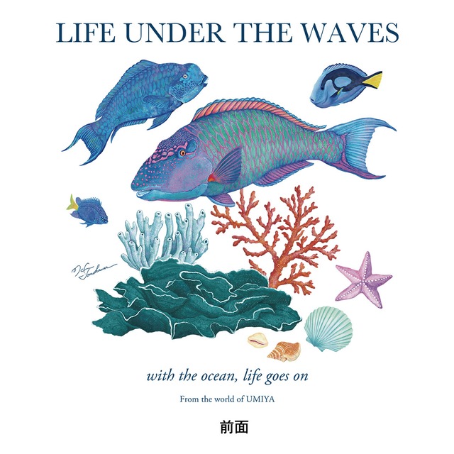 海の生きもの長袖Tシャツ（ブダイ）｜LIFE UNDER THE WAVES Model-01