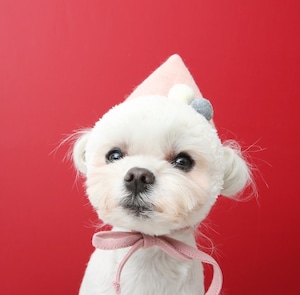 即納【ITS DOG】Hey Bunny Knit Hat《Pink》
