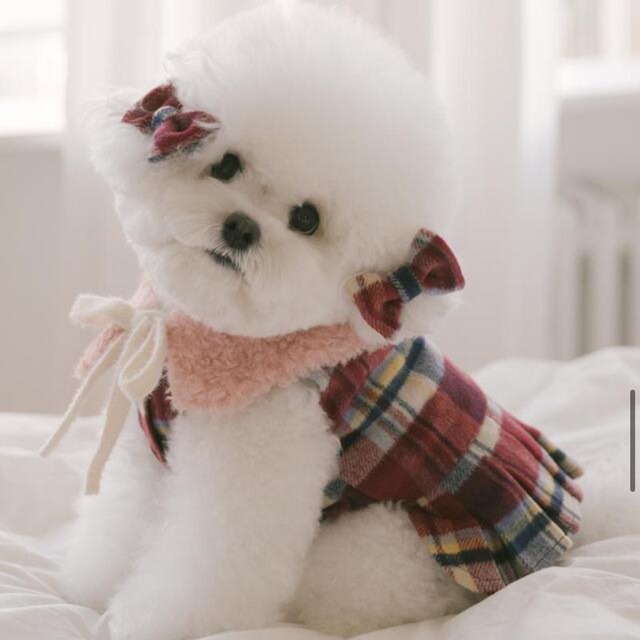 〈 即納アイテム 〉Rolling PEPE ケープ / セビアパステルケープ Sサイズ