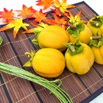 【2025年産】【11月発送】吊るし柿用西条柿 3L 36玉（7.5ｋｇ） 吊るし紐付