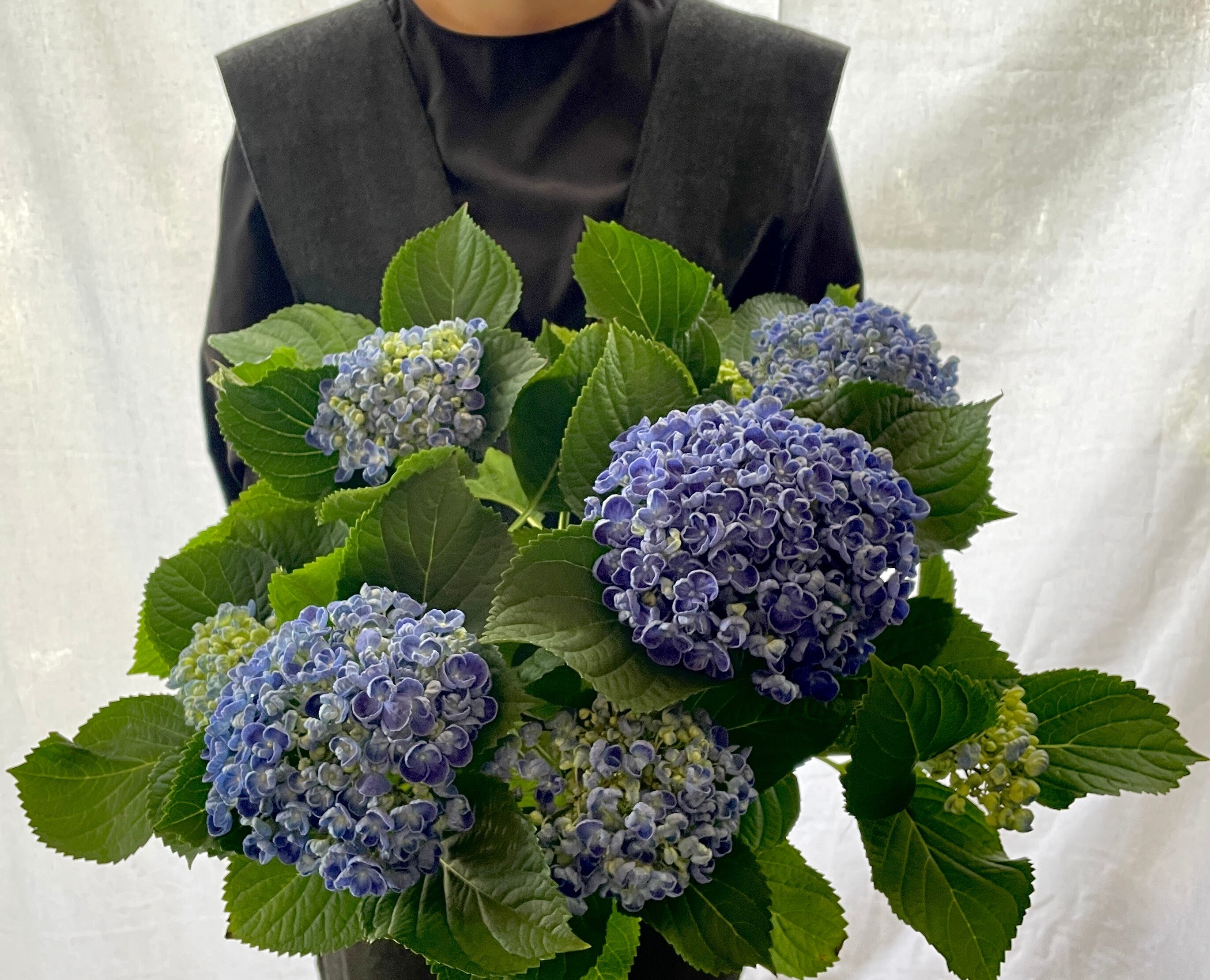 5/11~12日到着便//thanks flower//紫陽花ブルー  for Mother's Day