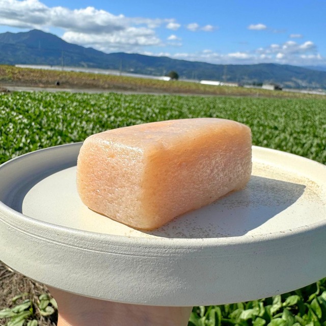 生芋こんにゃく3個｜農家直送・自家栽培こんにゃく芋100％・手練り