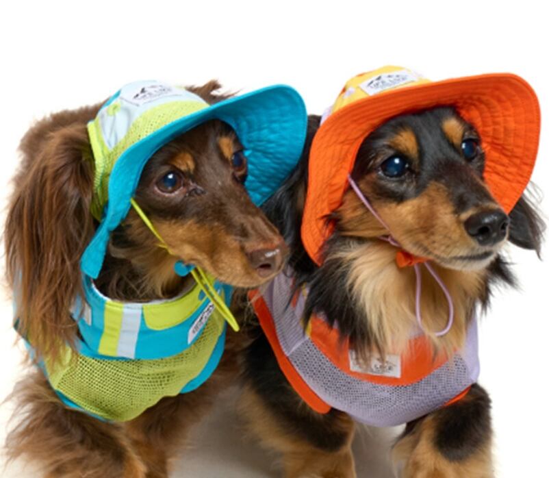 犬用バンダナ　ビタミンカラーバンダナ 　保冷剤付き　[サイズ: L]