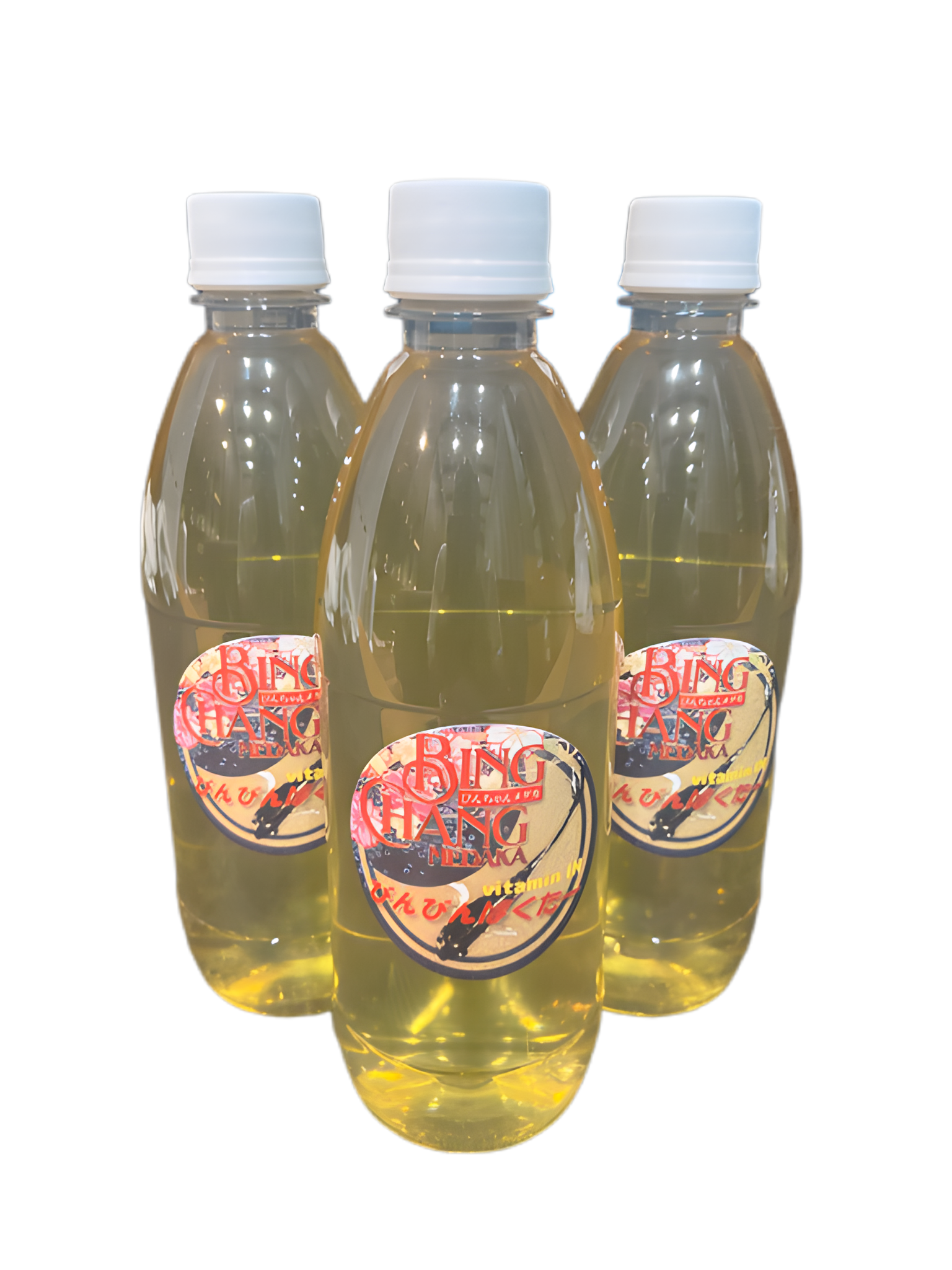 びんちゃんメダカ】びんびん乳酸菌！500ml 10本セット‼️ びんちゃん 