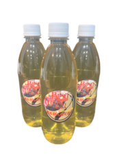 びんちゃんメダカ】びんびん乳酸菌！500ml 10本セット‼️ びんちゃん 