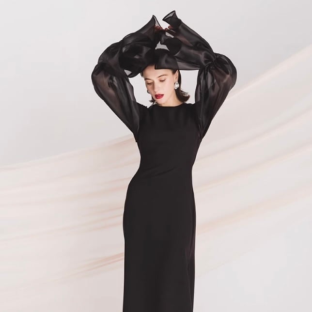 シック ブラック シースルースリーブ ロングドレス | she is