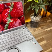 \ 公式ショップ限定価格❣️/ 最新モデル《Let's note FV1》第11世代 Core i5 メモリ16GB SSD256GB フルHD ノートパソコン 安心サポート&3ヶ月保証付き